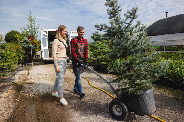 Trusted Four Oaks, NC Tree Service Experts